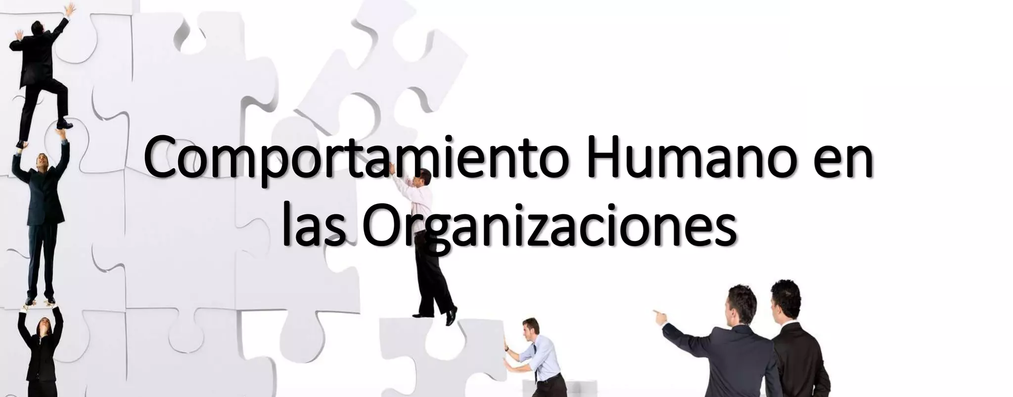 Comportamiento humano en las organizaciones